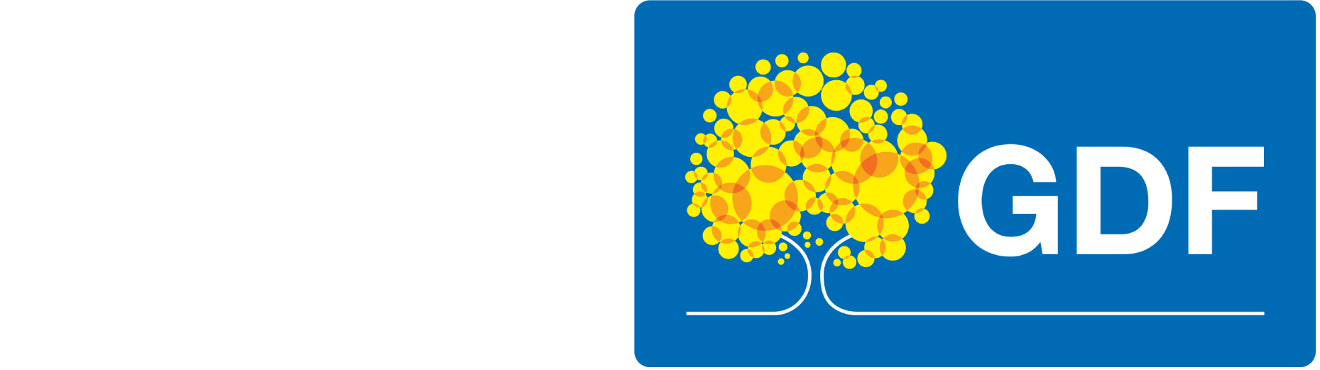 LOGO DA SECRETARIA DA PESSOA COM DEFICIENCIA GDF - GOVERNO DO DISTRITO FEDERAL
